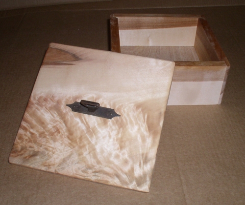 Birch Box