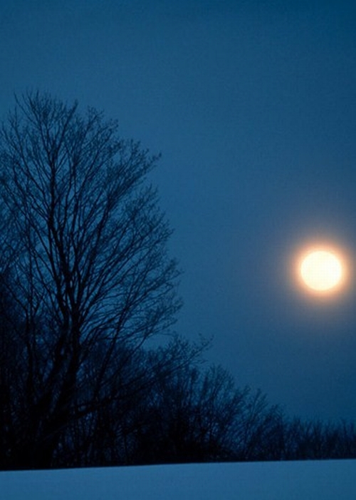 moon